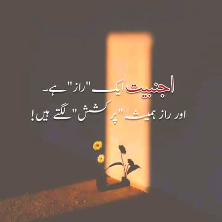Good night
