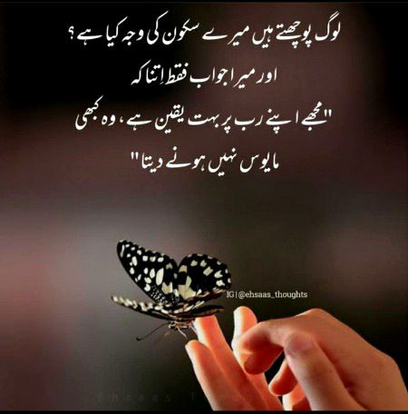 Islamic Quotes image