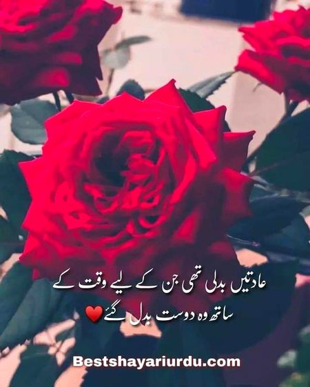 Good night