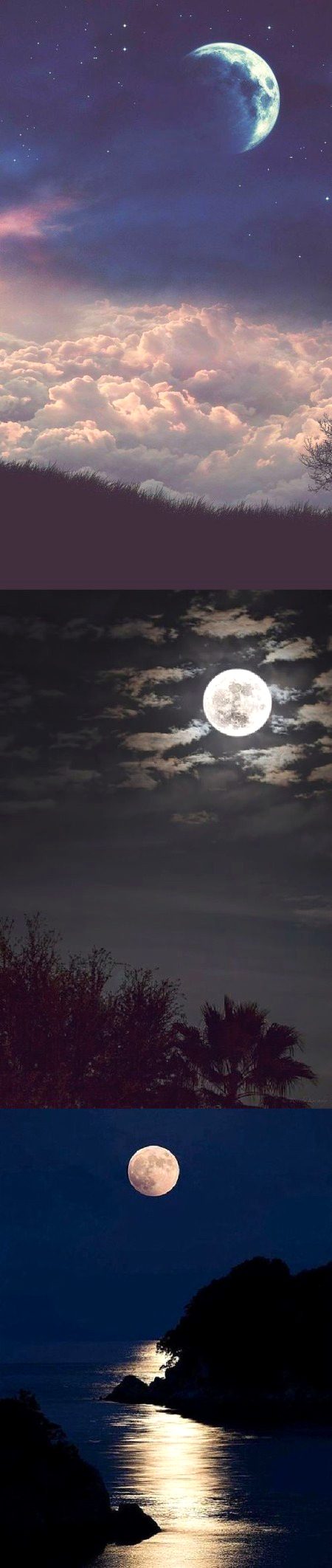 Beautiful Nature image