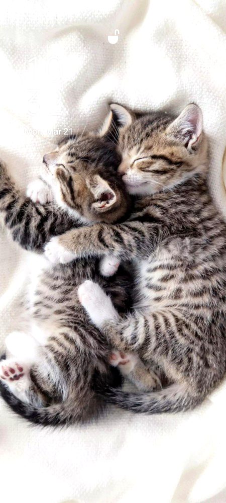 Good night