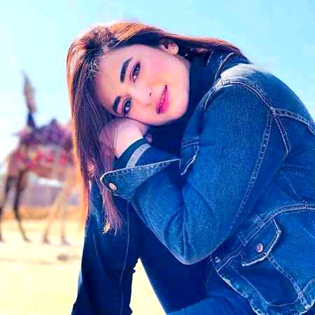 Pakistani Celebs image