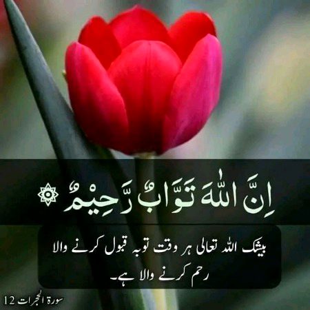 Islamic Quotes image