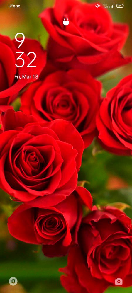 Beautiful Nature image