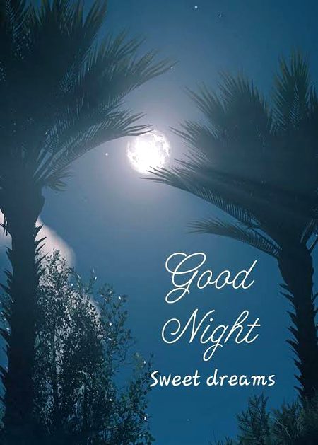 Good night