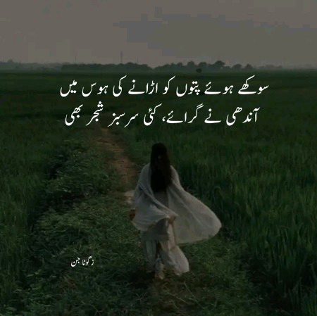 Good night