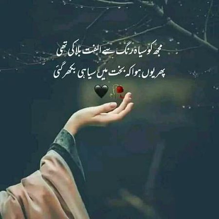 Sad Poetry image
