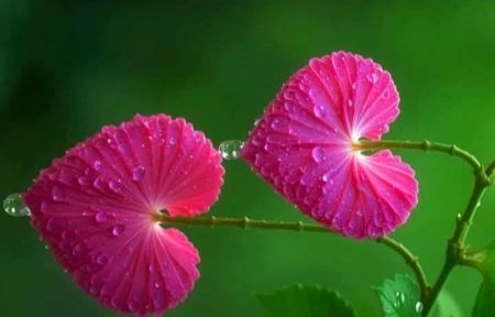 Beautiful Nature image