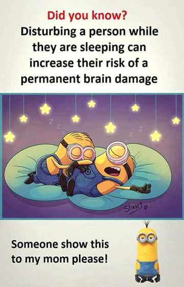 Memes & Satire image