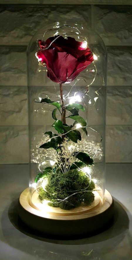 Beautiful Nature image