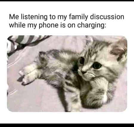 Memes & Satire image