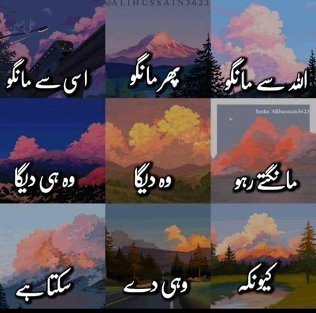 Islamic Quotes image