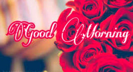Good night