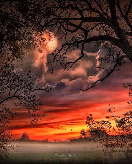 Good night