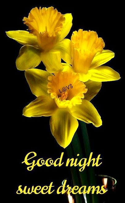 Beautiful Nature image