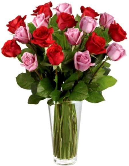 Beautiful Nature image