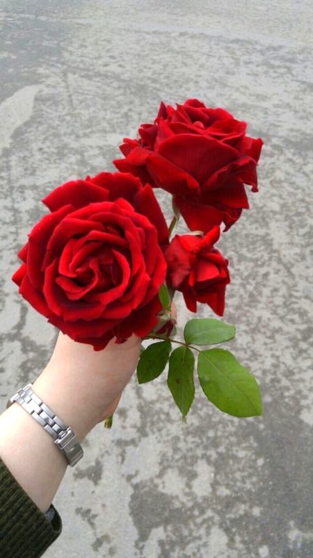 Beautiful Nature image