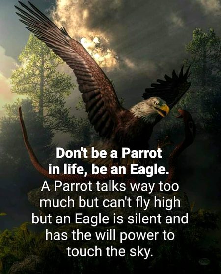 Motivational Quotes image