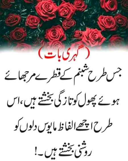 Motivational Quotes image