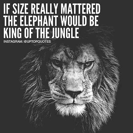 Motivational Quotes image