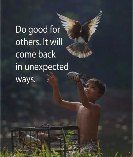 Life Advice image