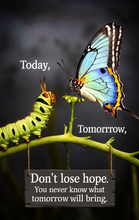 Motivational Quotes image