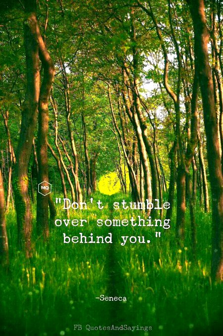Motivational Quotes image