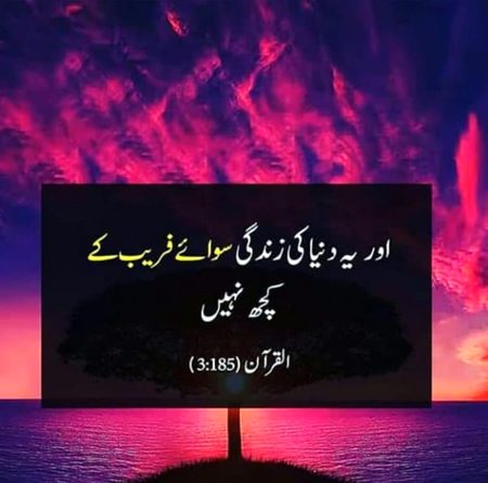 Islamic Quotes image