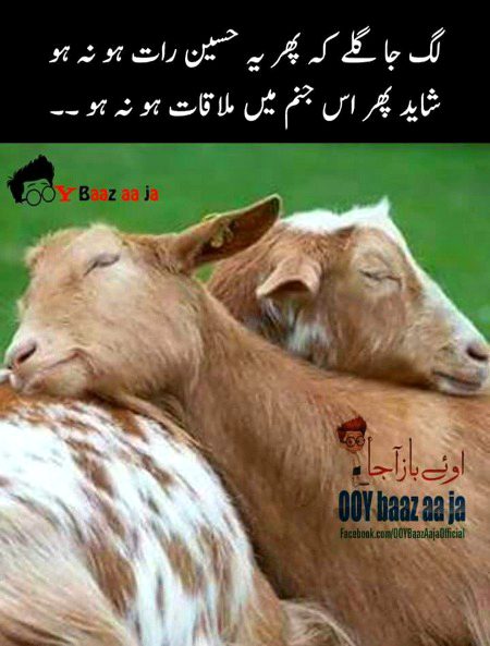 Romantic Poetry image