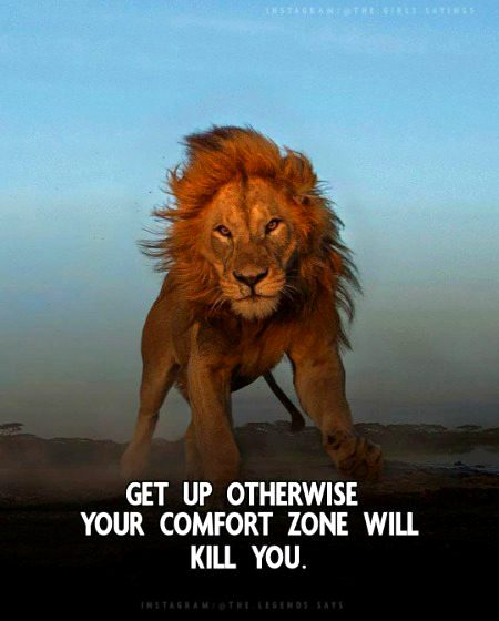 Motivational Quotes image