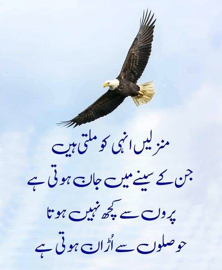 Motivational Quotes image