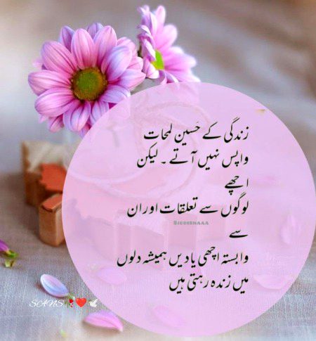 Motivational Quotes image