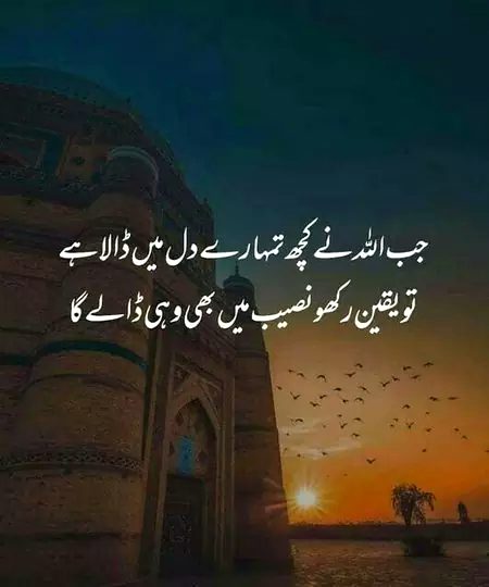 Motivational Quotes image