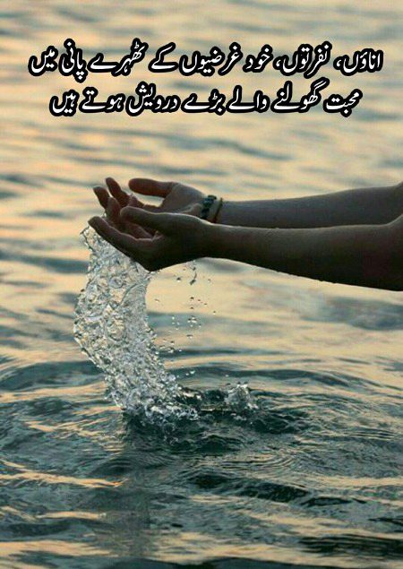 Inspirational quote, success quote, motivational quote, motivation quote