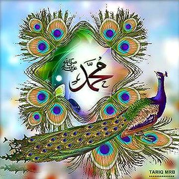 Islamic Quotes image