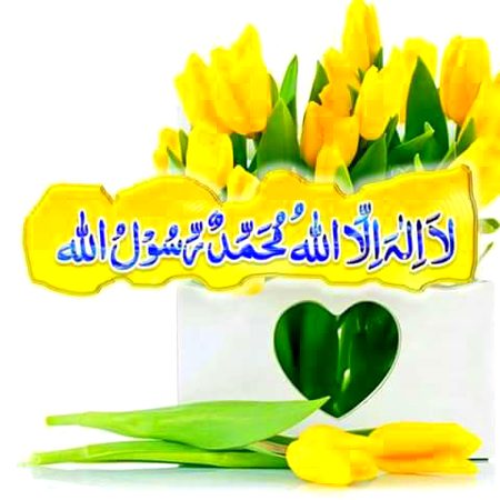 Islamic Quotes image
