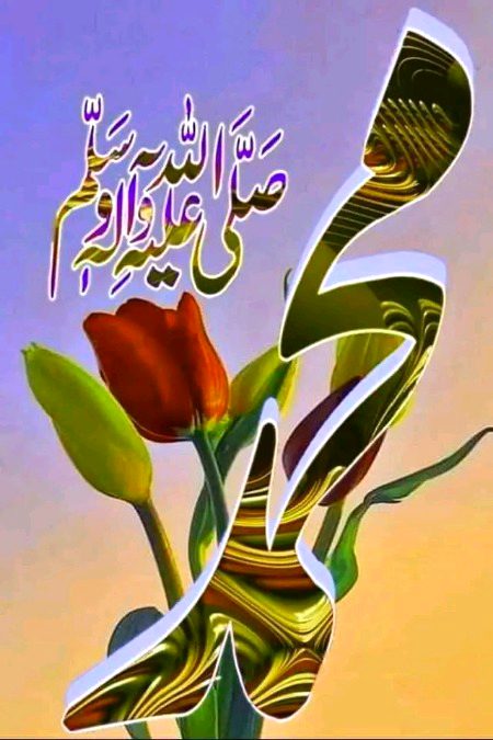Islamic Quotes image