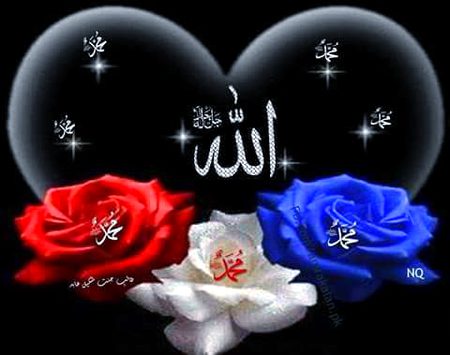 Islamic Quotes image
