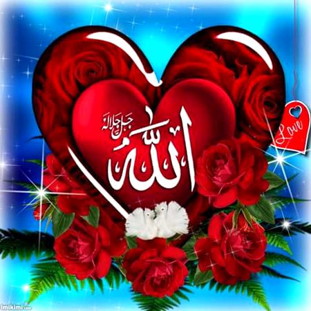 Islamic Quotes image