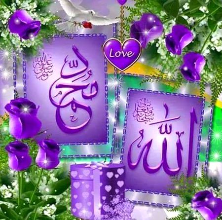 Islamic Quotes image