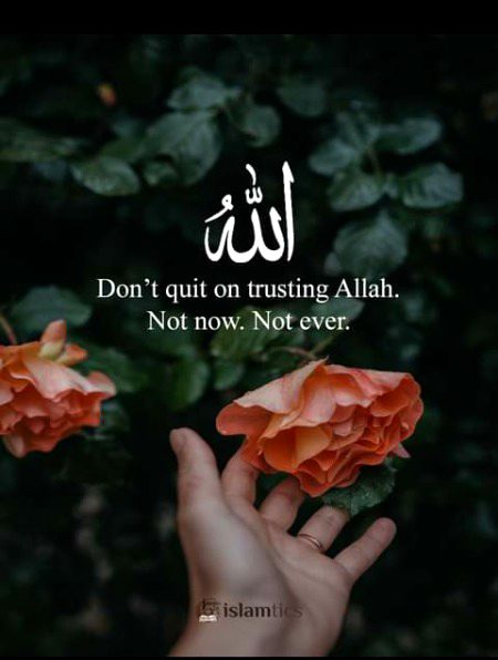 Islamic Quotes image