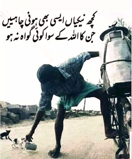 Islamic Quotes image