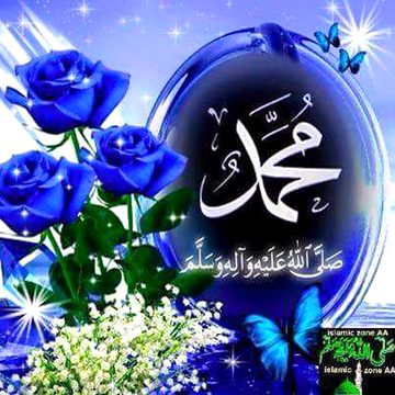 Islamic Quotes image