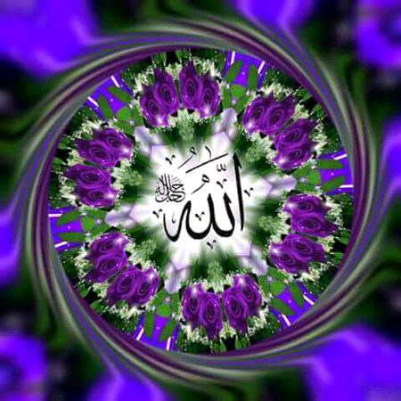 Islamic Quotes image