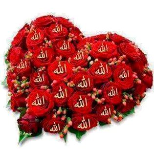 Islamic Quotes image