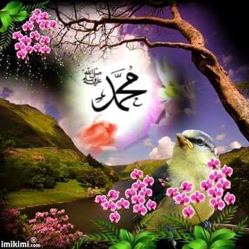 Islamic Quotes image