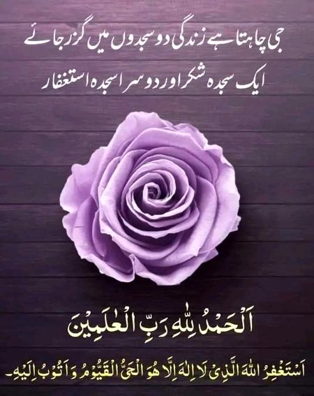 Islamic Quotes image