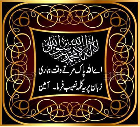 Islamic Quotes image