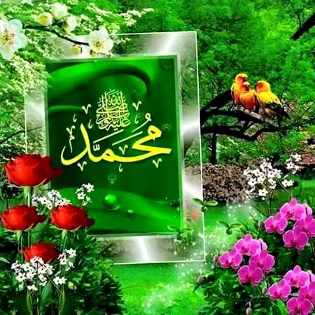 Islamic Quotes image