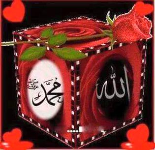 Islamic Quotes image